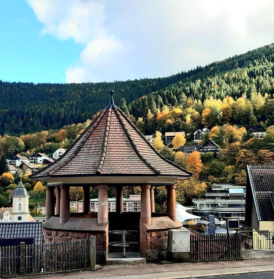 Appartamento Fewo Sehl Bad Wildbad Esterno foto