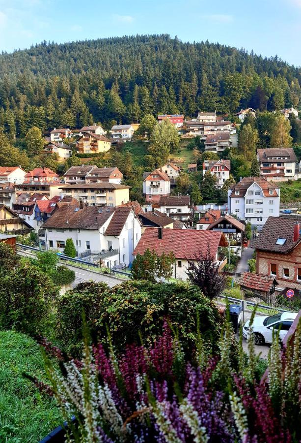 Appartamento Fewo Sehl Bad Wildbad Esterno foto